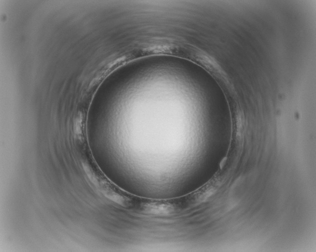 X0000052600073200507221644