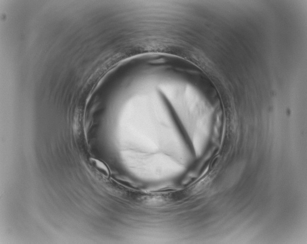 X0000052600074200507221644