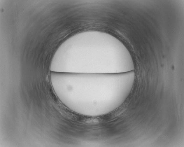 X0000052600075200507221644