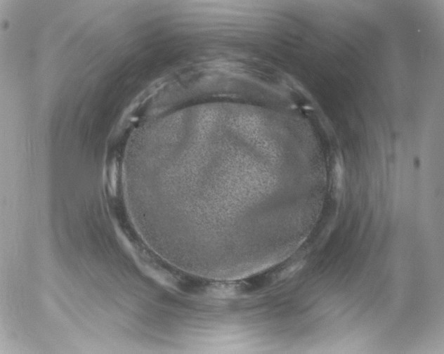 X0000052600076200507221644