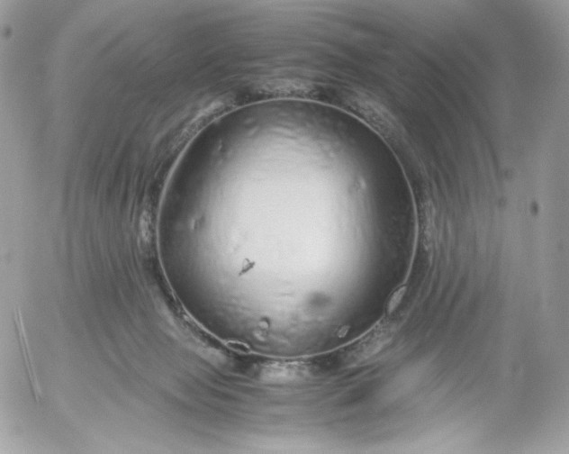 X0000052600077200507221644