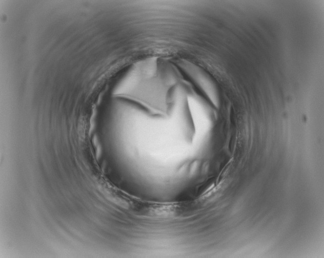 X0000052600078200507221644