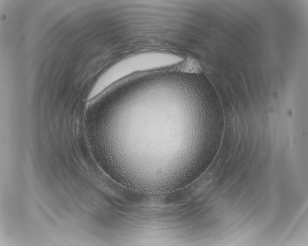 X0000052600080200507221644