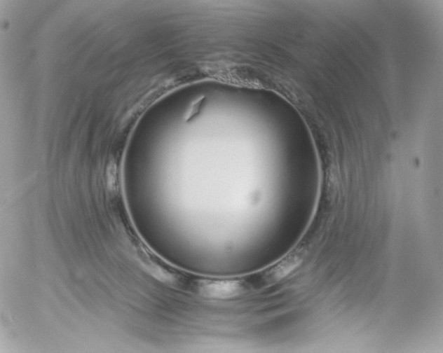 X0000052600081200507221645