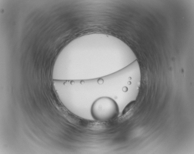 X0000052600082200507221645