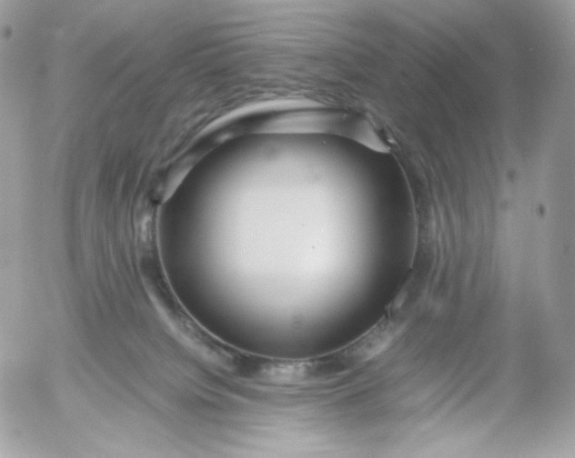 X0000052600084200507221645