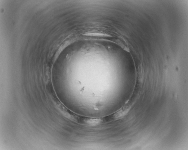 X0000052600085200507221645