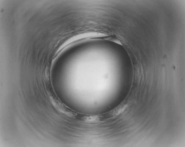 X0000052600088200507221645