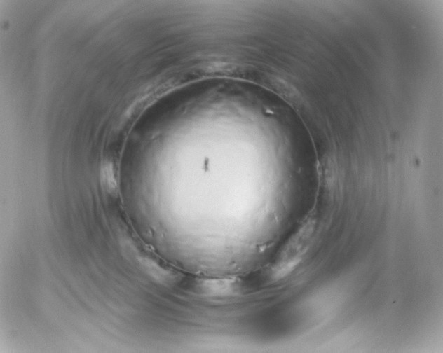 X0000052600089200507221645