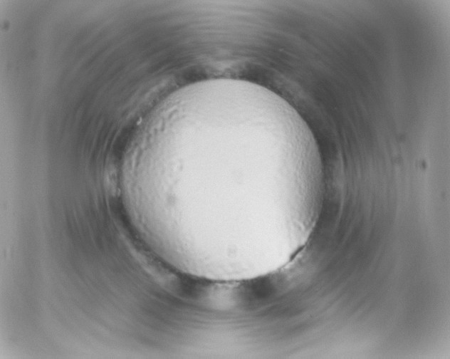 X0000052600090200507221645