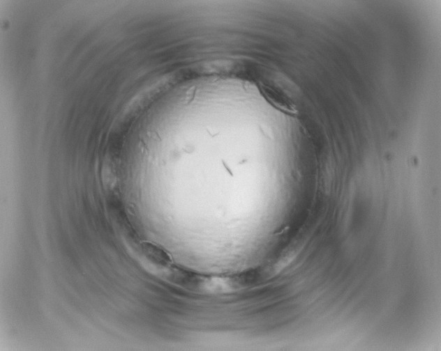 X0000052600091200507221645