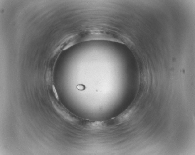 X0000052600092200507221645