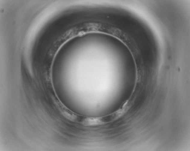 X0000052600093200507221645