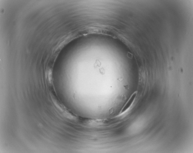 X0000052600094200507221645