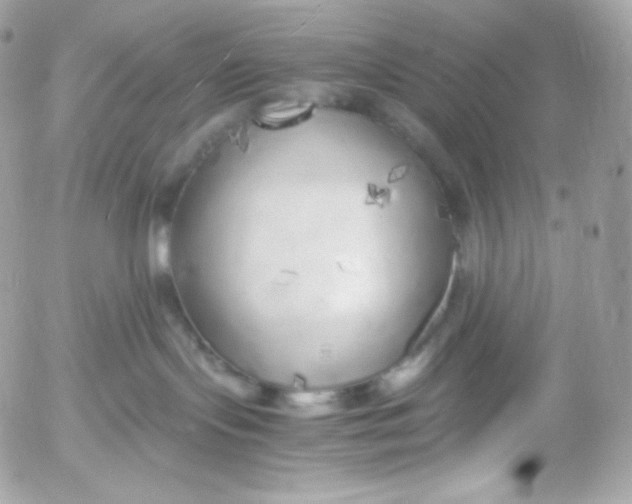 X0000052600095200507221645