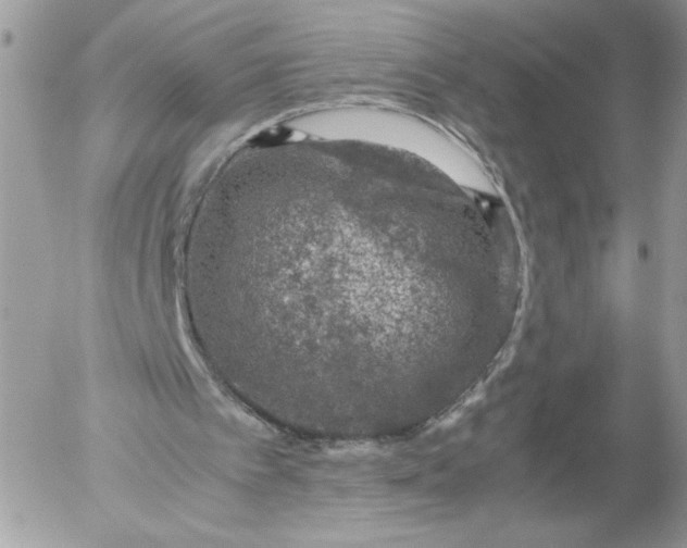 X0000052600097200507221644