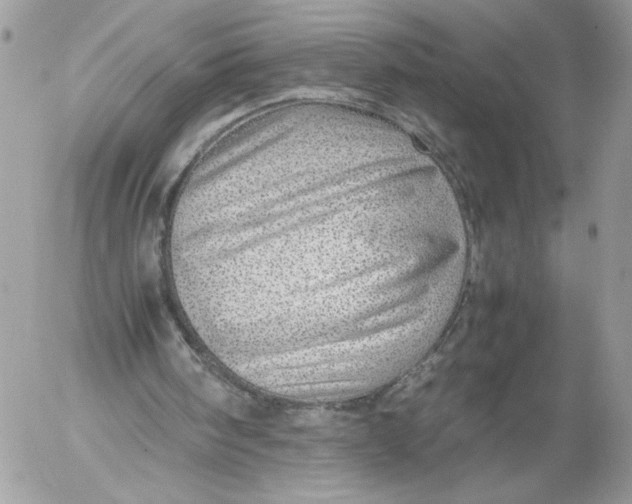 X0000052600098200507221644