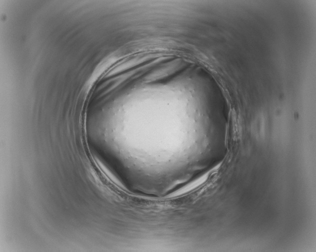 X0000052600099200507221644