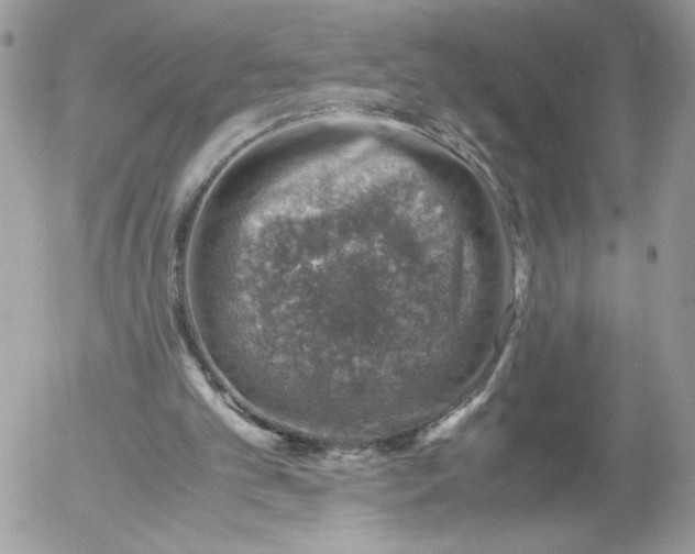 X0000052600101200507221644