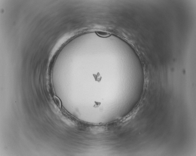 X0000052600102200507221644