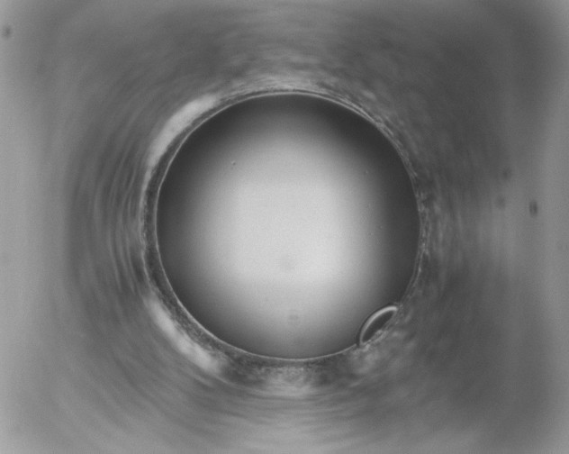 X0000052600104200507221644