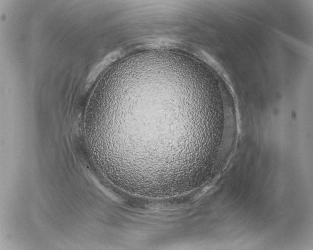 X0000052600105200507221644