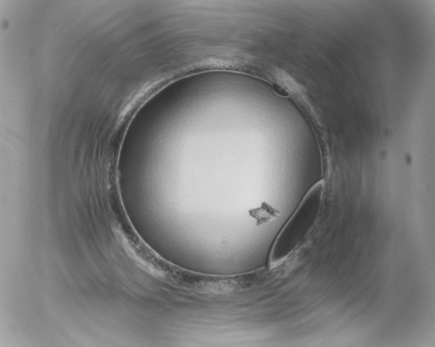 X0000052600106200507221644