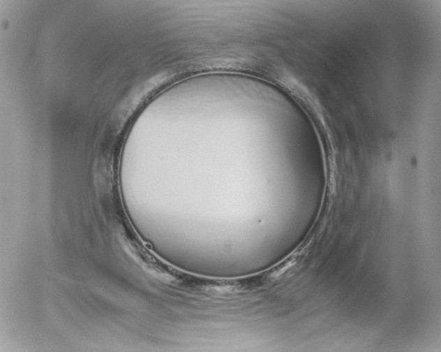 X0000052600107200507221644