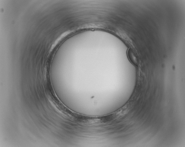 X0000052600108200507221644