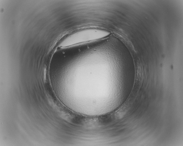 X0000052600110200507221644