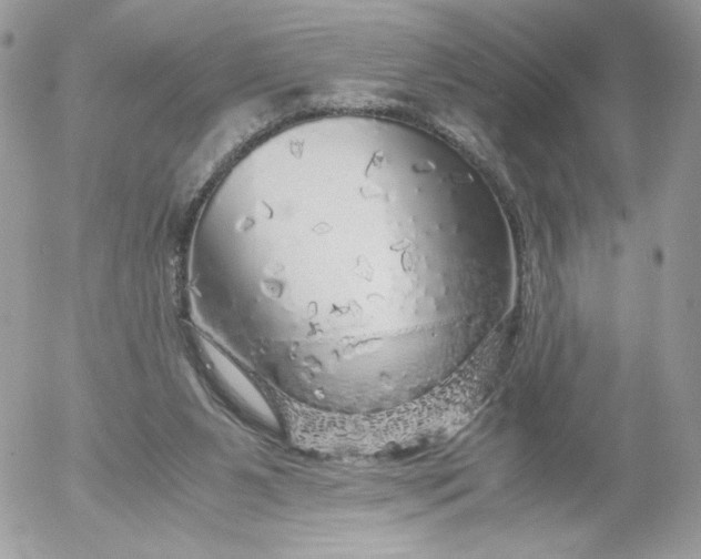 X0000052600111200507221644