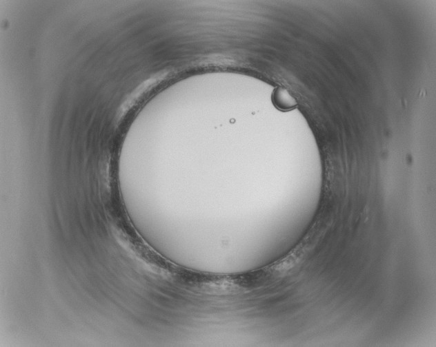 X0000052600112200507221644