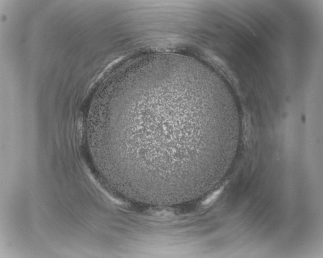 X0000052600113200507221644