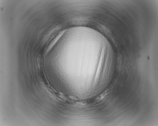 X0000052600114200507221644