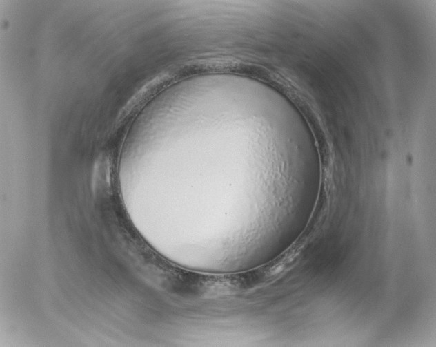 X0000052600115200507221644