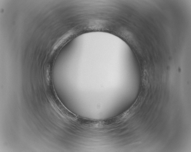 X0000052600116200507221644