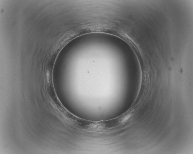 X0000052600117200507221644