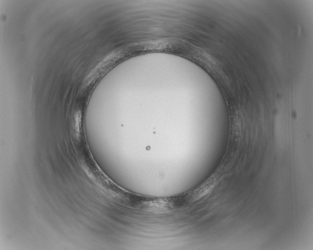 X0000052600118200507221644