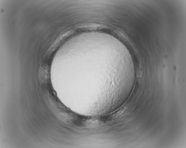 X0000052600119200507221644