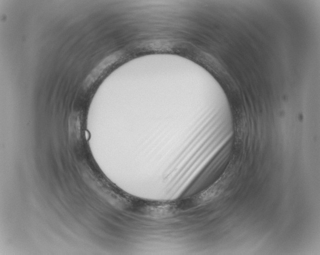 X0000052600120200507221644