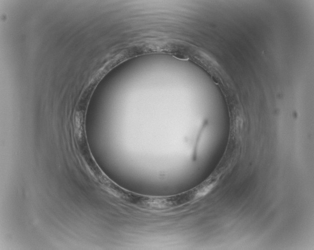 X0000052600121200507221644