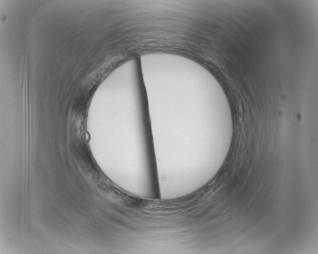 X0000052600123200507221644