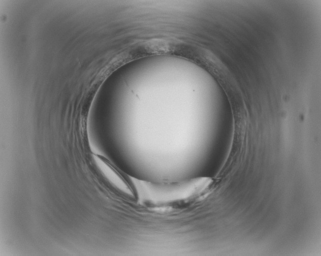 X0000052600125200507221644