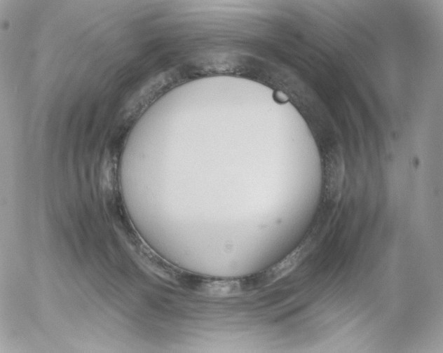 X0000052600126200507221643