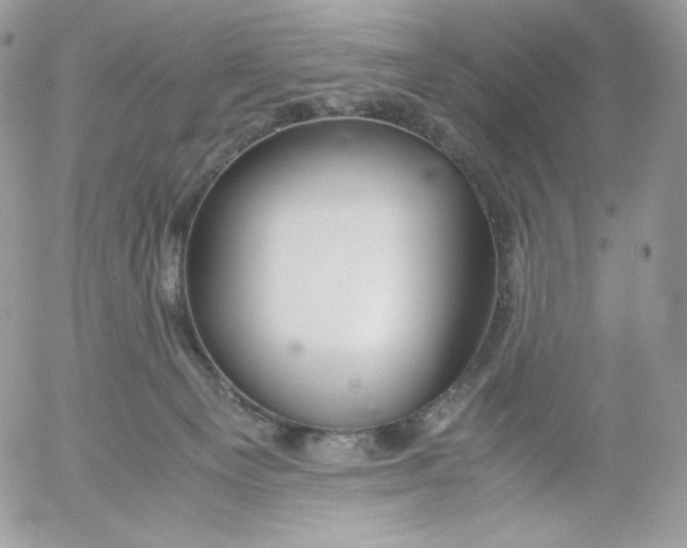 X0000052600129200507221643