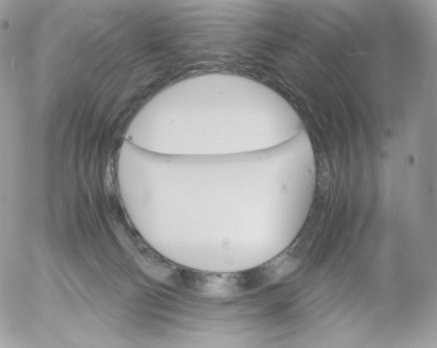 X0000052600130200507221643