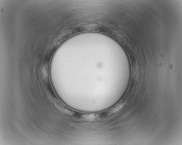 X0000052600131200507221643