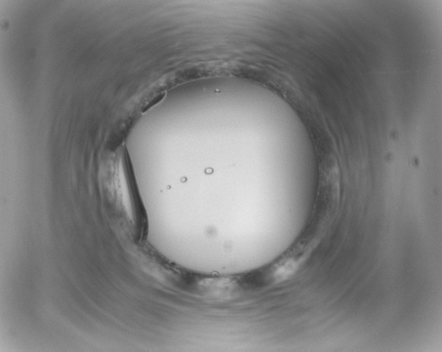 X0000052600133200507221643