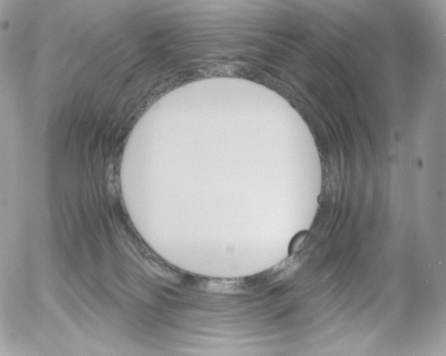 X0000052600134200507221643