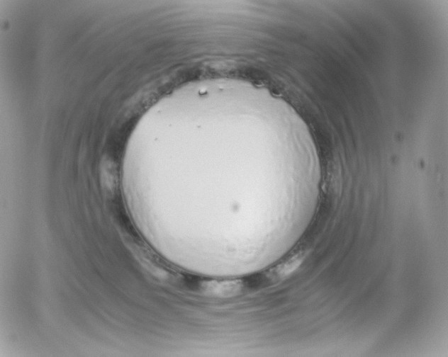 X0000052600135200507221643